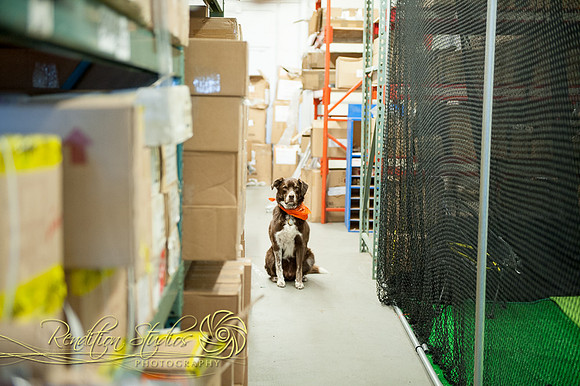 Golfshop_F084-LR