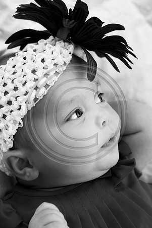 Dribus_Hannah_12242009_home_193_BW