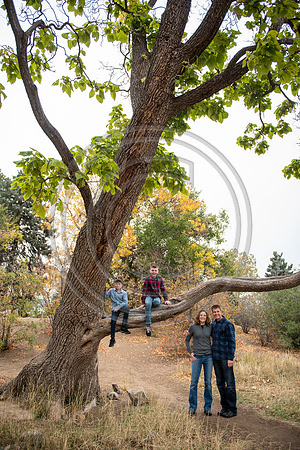 Woodmansee_027