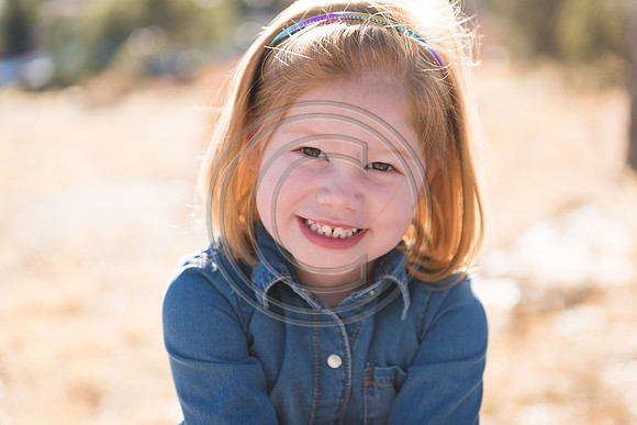 Vogt_F020