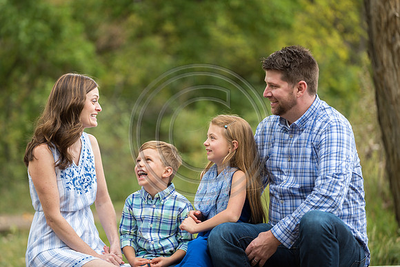 Voigts_F115