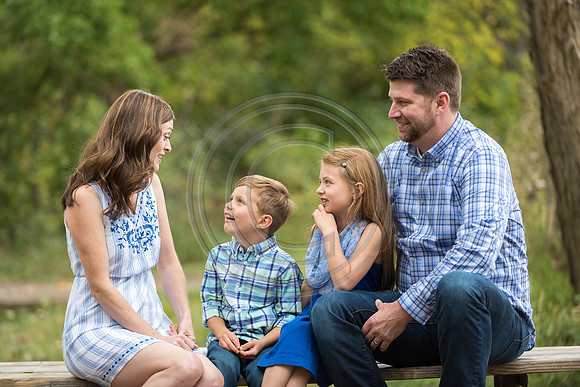 Voigts_F113