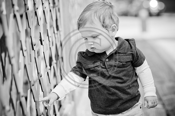 Sharkey_F046