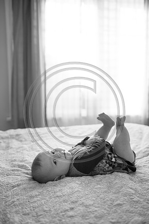 RadleyEllis_F044
