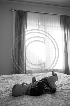 RadleyEllis_F041