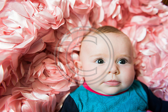 RadleyEllis_F061