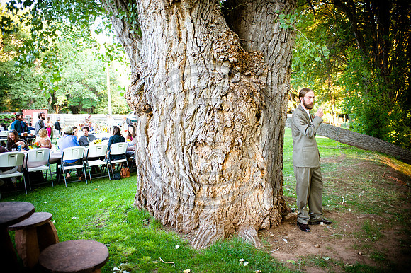 Mohseni_F00878
