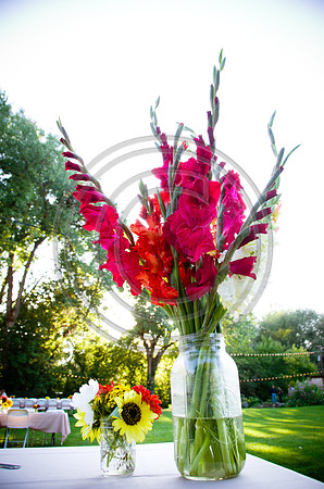 Mohseni_F00853