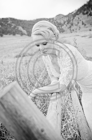 Woods_F0185-Edit