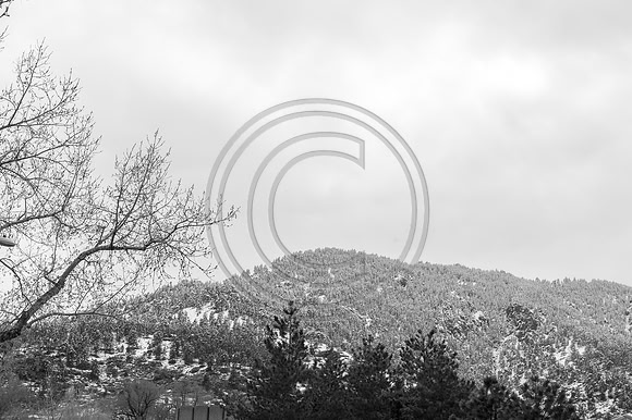 Pease_F003