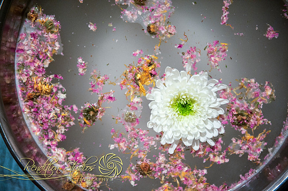 Holistica_F045-LR