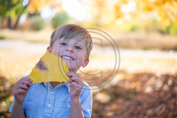 Mathis_045