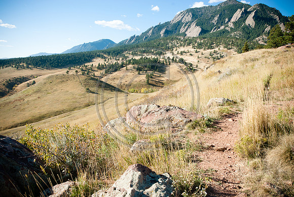 Kohuth_F00196