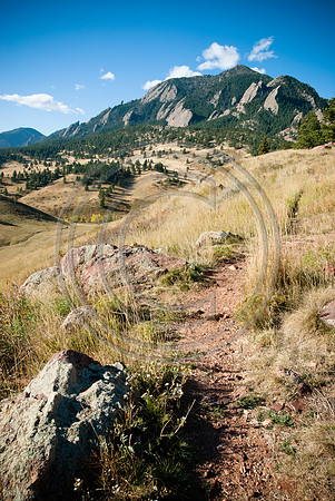 Kohuth_F00195