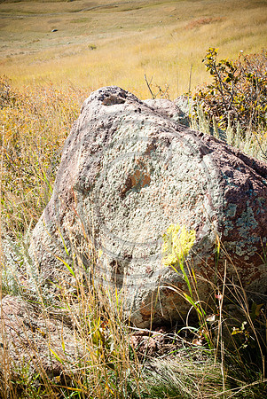 Kohuth_F00192