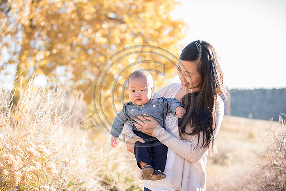 Lee_F008