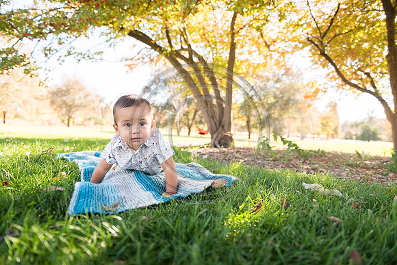 Kruse_F052