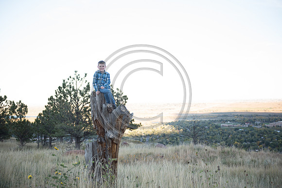 Woodmansee_F129