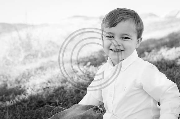 Wilson_F026