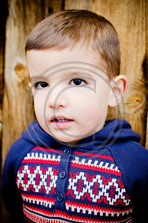 Will_F012-2012