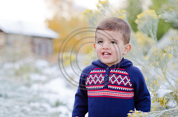 Will_F038-2012