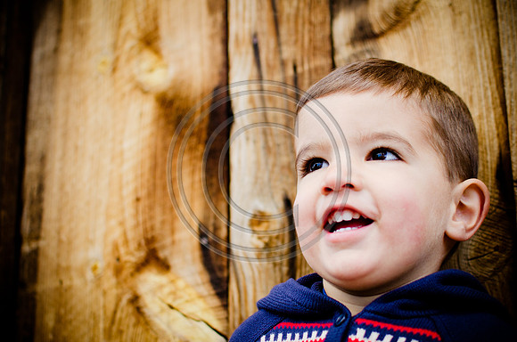 Will_F011-2012