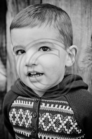 Will_F013-2012