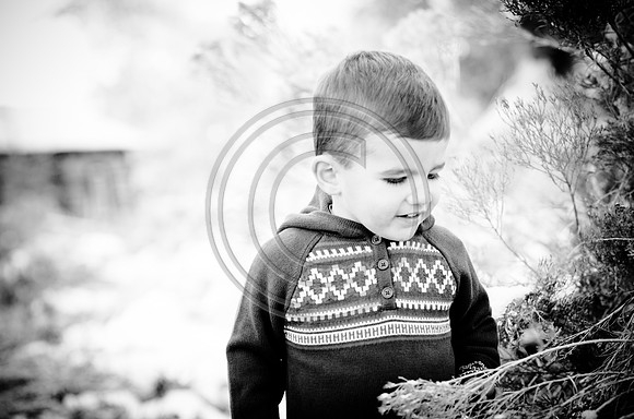Will_F040-2012