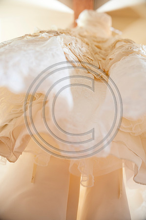 Bull_F045