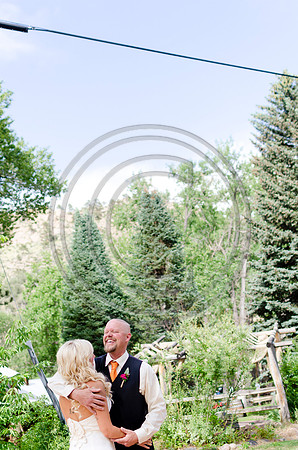 Bull_F318