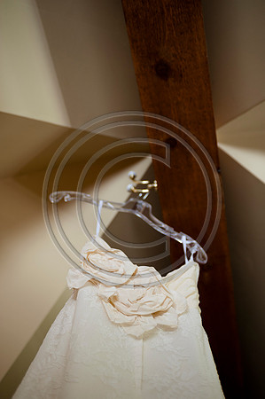 Bull_F047
