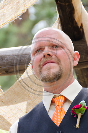 Bull_F144