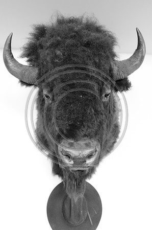 Harris_F00264