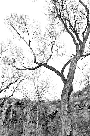 camera1_LC0621