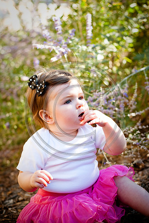 Schwarz-0168-10_0925