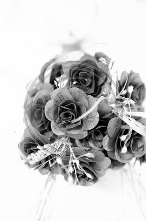 Parmar_F011