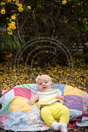 Uehling_F038