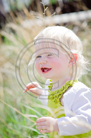 Pike_F040