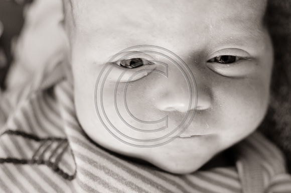 Young_F0022