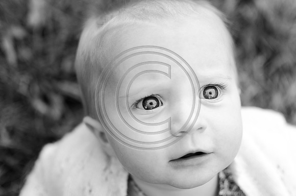 Pugh_F048