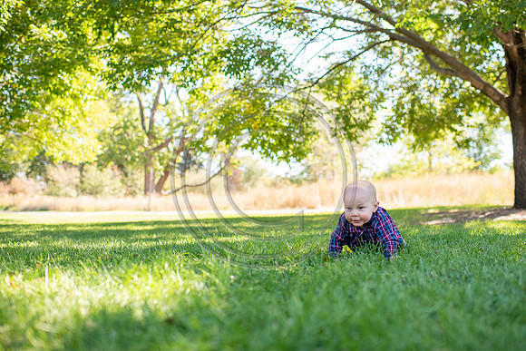 Zobec_F079