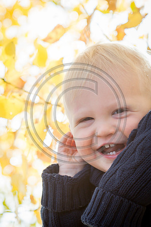 Bradley_F029