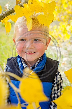 Bradley_F021