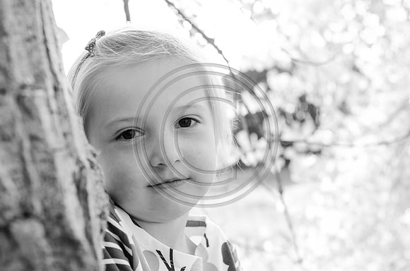 Bradley_F011