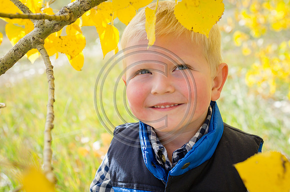 Bradley_F023