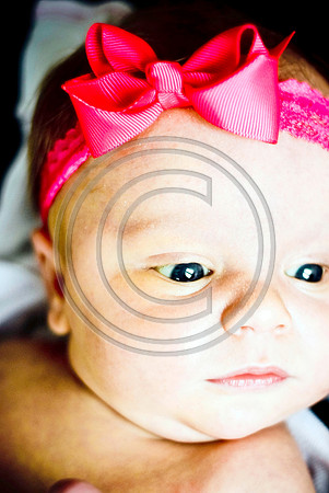 Campbell_F025