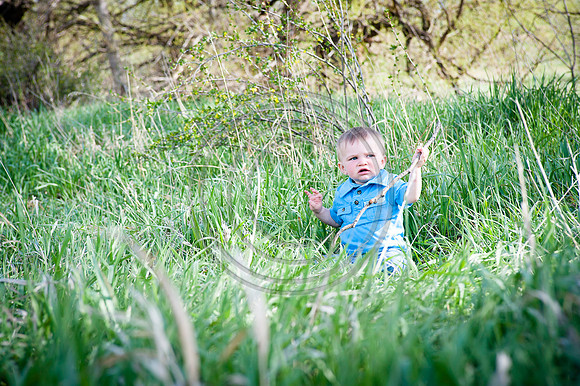 Woodmansee_F055