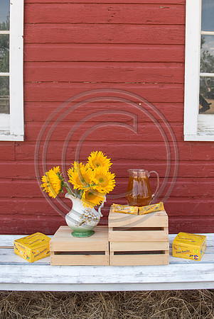 HoneyB_F117-LR