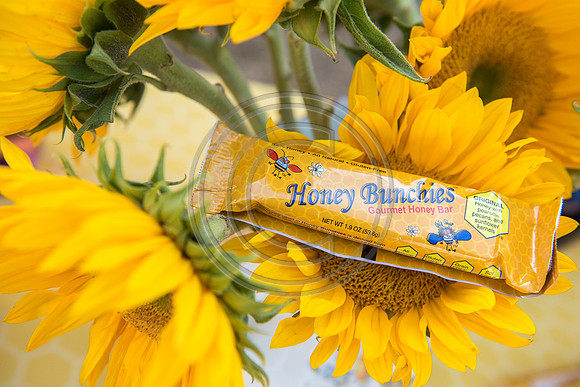 HoneyB_F090-LR
