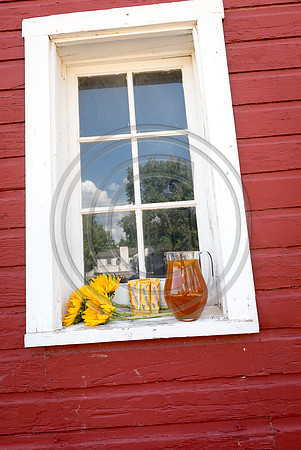 HoneyB_F096-LR